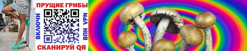 Галлюциногенные грибы Cubensis  Комсомольск 